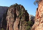 Angels Landing - Yvonne