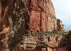 Yvonne - North Kaibab Trail