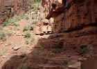 Yvonne - North Kaibab Trail