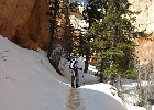 Peek-a-Boo Loop Trail