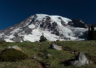 Mt. Rainier - morning