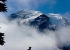 Mt. Rainier's First Appearance