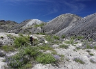 Hiking Through Hummocks and Lupins