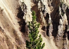 Canyon Backdrop