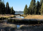 DeLacy Creek Entering Lake Shoshone