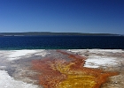 Hot Spring Thermophiles