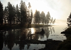 Lower Hayden Valley - Geyser Fog