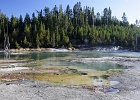 Norris Geyser Basin - Late Afternoon