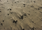 Microsculptures on a very windy day.  Agate Beach, Oregon.