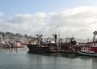 Some of the crabbing fleet in Yaquina Bay, Newport, Oregon.