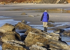 Yvonne searching the tide pools on a basalt outcropping on Moolack Beach.