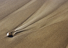 Comet-like sand trail on the beach.  Lincoln City, Oregon.