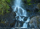 The Cascades are named so for a reason.  One of several falls on the Heliotrope Ridge trail as I hiked out.