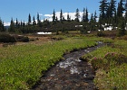 Descending back to the lower meadow along the Church Mtn trail.  Snowmelt provides plenty of water this time of year.  Mt. Baker distant.
