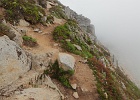 Final trail segment on granite and heather benches, rising into the fog...