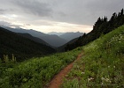 Thunderstorms caused an early retreat down the Hidden Lake Peaks trail, but the views were still worth capturing.  A milkshake awaited me in Marblemount; a good way to end July.  :-)