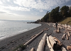 Yvonne on the Driftwood in Dead Man&#39;s Cove -- San Juan Island, WA