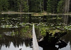 Lilly Lake reflects the one and only blue hole in the sky.