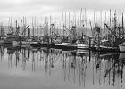 Longliners and trawlers at the Newport Bayfront commercial dock.
