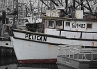 Detail view of the F/V Pelican longliner.
