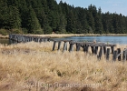 Remnants of 19th century rail line heading east from Newport, OR.