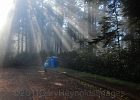 As the angles sang, the Lord said, &#34;Let there be a potty&#34;. And it was good.  (Trailhead at Cape Lookout.)
