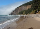 Yvonne explores at the waterline with Cape Lookout blocking the fog.