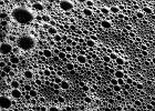 Sea form, made from photoplankton skeletons and cell glue, churned up by wave action.