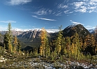 Hard to believe by October 8 the larches aren&#39;t near peak color, but there was a bit of gold (and rather nice scenery) to be found, nonetheless.