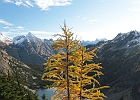 Some striking larch color, with Lake Ann and Cascade peaks as a backdrop.