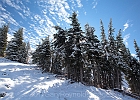 It really felt like Christmas with a bit of snow on the firs.  Colder than I expected, too.