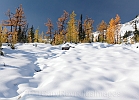 A little more snow than last week covers the heather and adds texture to the terrain.