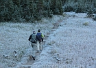 Jim and Sally at top speed, heading for sunshine at Piegan Pass...