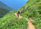 The avalanche chute below Sibley Pass offers dense summer flowers...