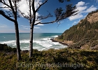 Cape Perpetua, near Yachats, OR.