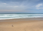 Just a couple beaches north to Ocean Beach. It's in the 80's now. We've never had such a warm day, even in August.