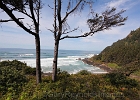 Taking in the view at Cape Perpetua, thinking of our salmon lunch we're about to enjoy in Yachats, OR.