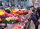 My Sweetie enjoying the colors and the fragrances.