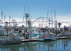 Yaquina Bay Bridge