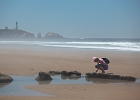 Tidepool critters abound.  Yaquina Head in the background.