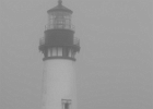 Morning fog shrouds the Yaquina Head light...