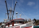 F/V Miss Yvonne is rigged up for shrimp season